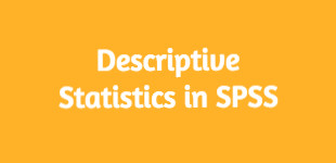 Descriptive Statistics with SPSS