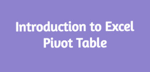 Introduction to Excel Pivot Table