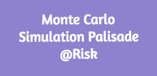 Monte Carlo Simulation with Palisade @Risk
