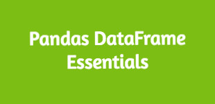 Python pandas DataFrame Essentials